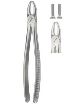 Tooth Extracting Forceps  